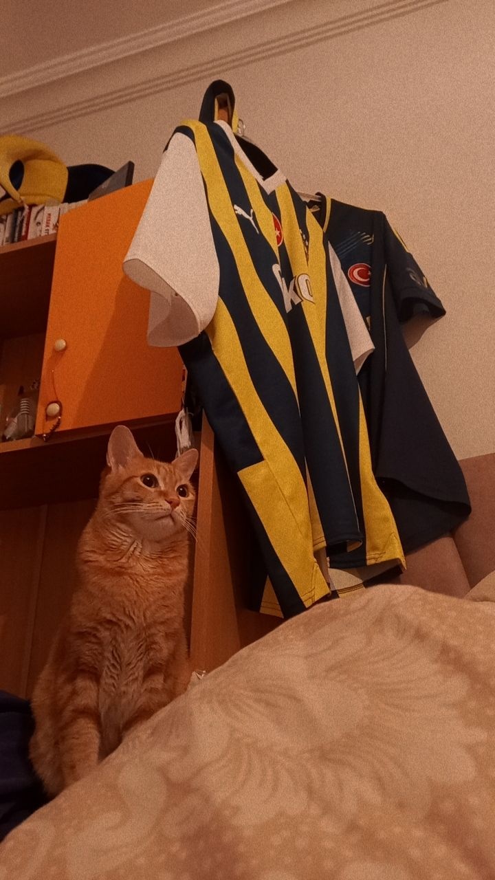 1907 Sosyal | Fenerbahçe Taraftar Forumu ve Sosyal Ağı