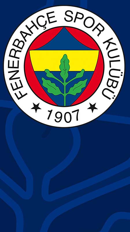 Fenerbahçe Sosyal