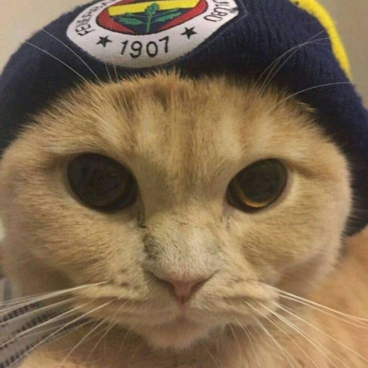 1907 Sosyal | Fenerbahçe Taraftar Forumu ve Sosyal Ağı